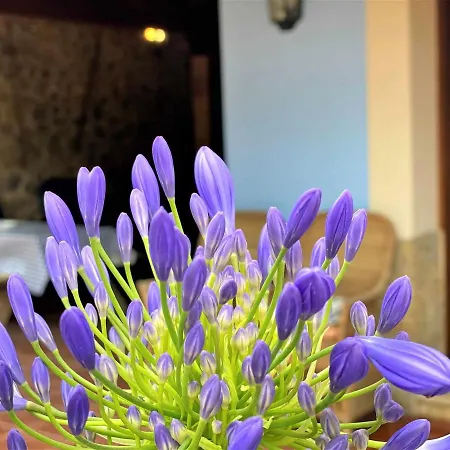 Villanueva Country house Colombres